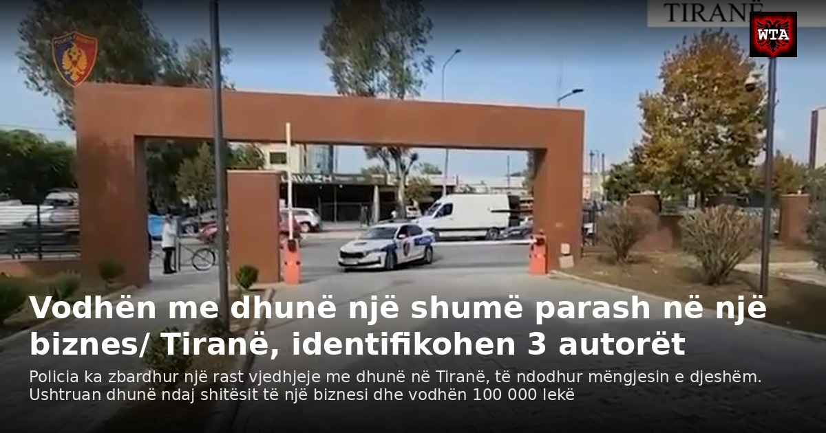 Vodhën me dhunë një shumë parash në një biznes/ Tiranë, identifikohen 3 autorët