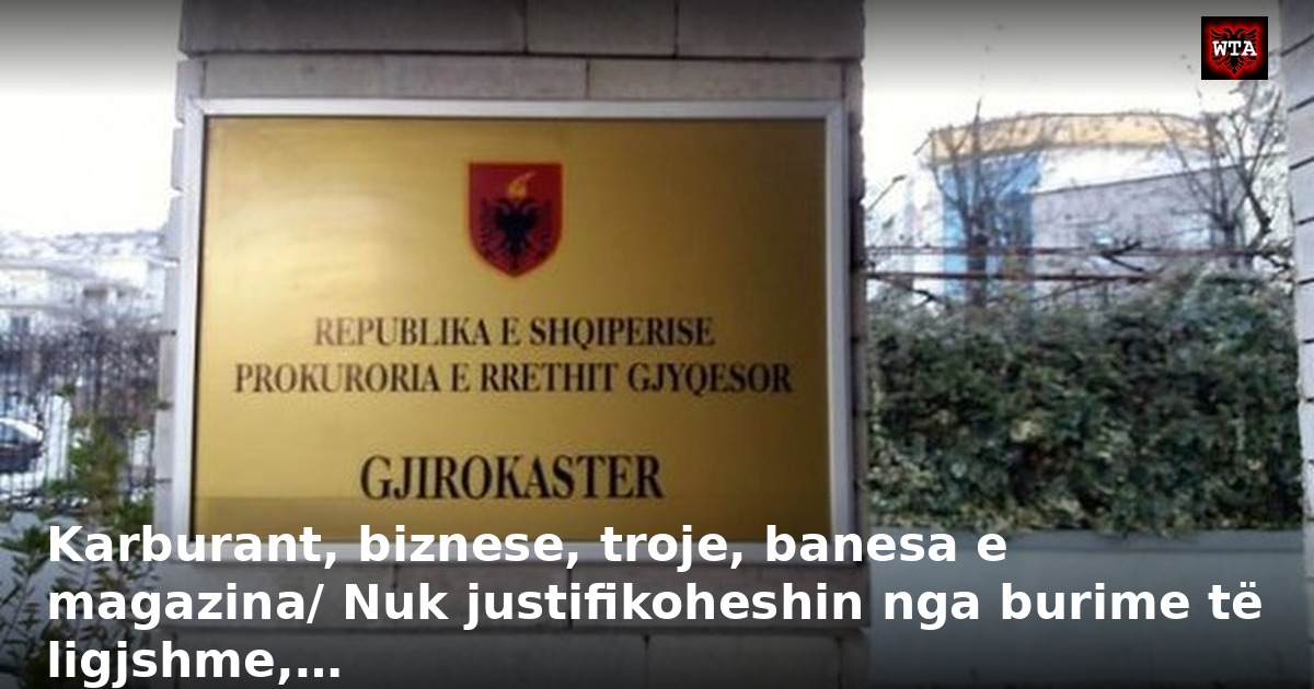 Karburant, biznese, troje, banesa e magazina/ Nuk justifikoheshin nga burime të ligjshme,…