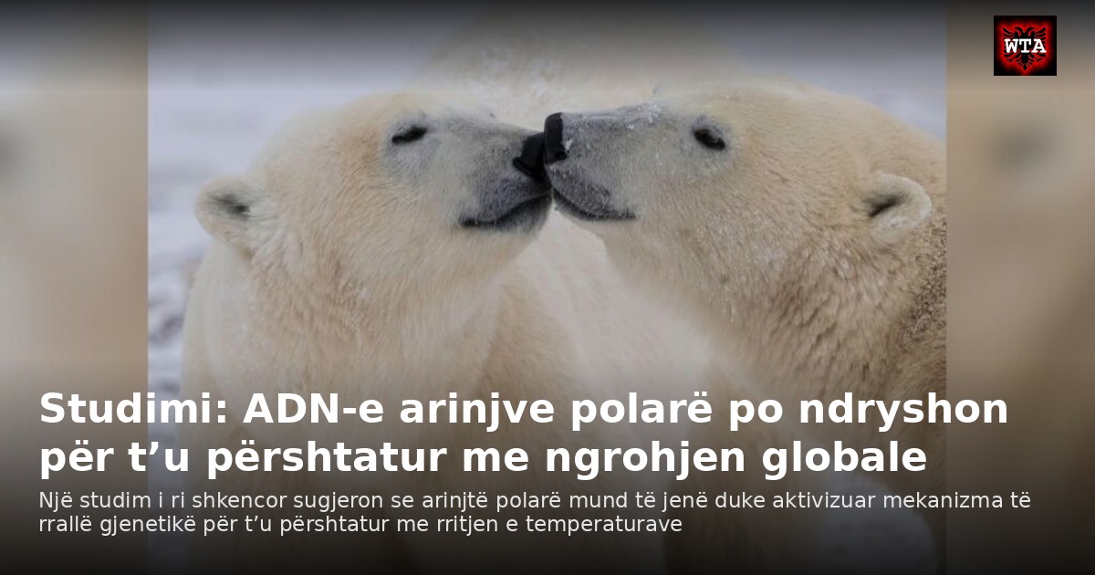 Studimi: ADN-e arinjve polarë po ndryshon për t’u përshtatur me ngrohjen globale