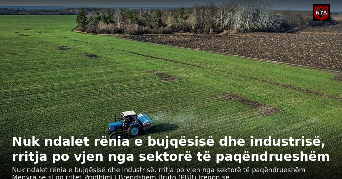 Nuk ndalet rënia e bujqësisë dhe industrisë, rritja po vjen nga sektorë të paqëndrueshëm