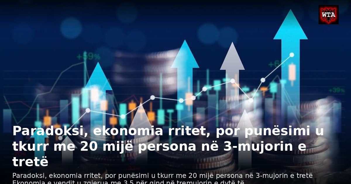 Paradoksi, ekonomia rritet, por punësimi u tkurr me 20 mijë persona në 3-mujorin e tretë