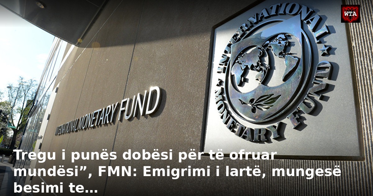 Tregu i punës dobësi për të ofruar mundësi”, FMN: Emigrimi i lartë, mungesë besimi te…