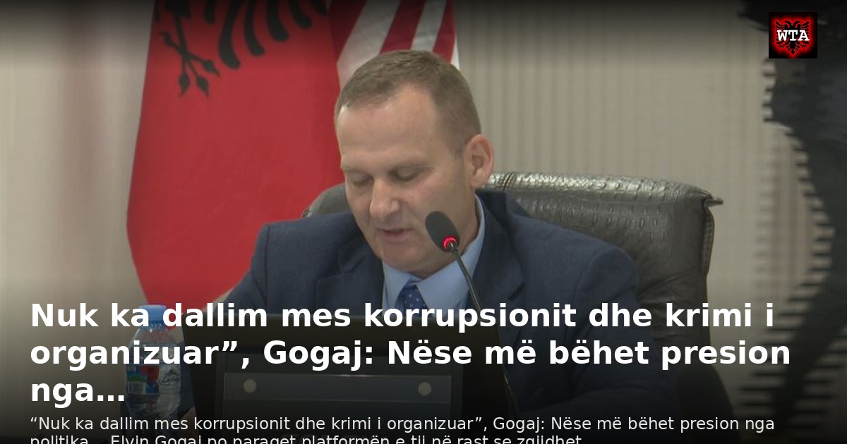 Nuk ka dallim mes korrupsionit dhe krimi i organizuar”, Gogaj: Nëse më bëhet presion nga…