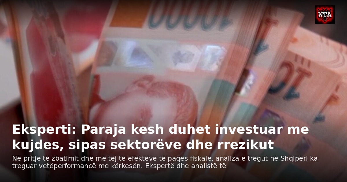 Eksperti: Paraja kesh duhet investuar me kujdes, sipas sektorëve dhe rrezikut