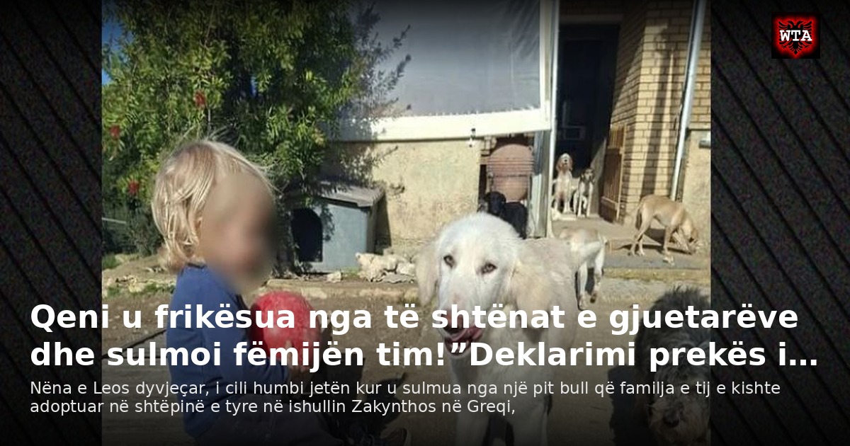 Qeni u frikësua nga të shtënat e gjuetarëve dhe sulmoi fëmijën tim!”Deklarimi prekës i…