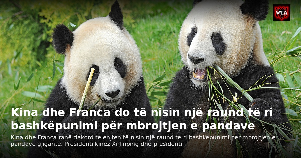 Kina dhe Franca do të nisin një raund të ri bashkëpunimi për mbrojtjen e pandave