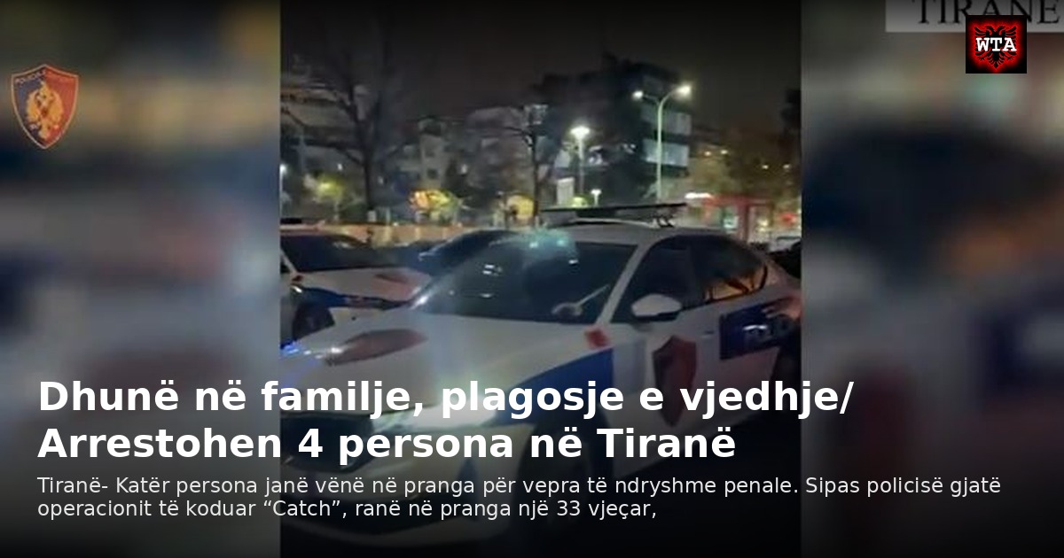 Dhunë në familje, plagosje e vjedhje/ Arrestohen 4 persona në Tiranë