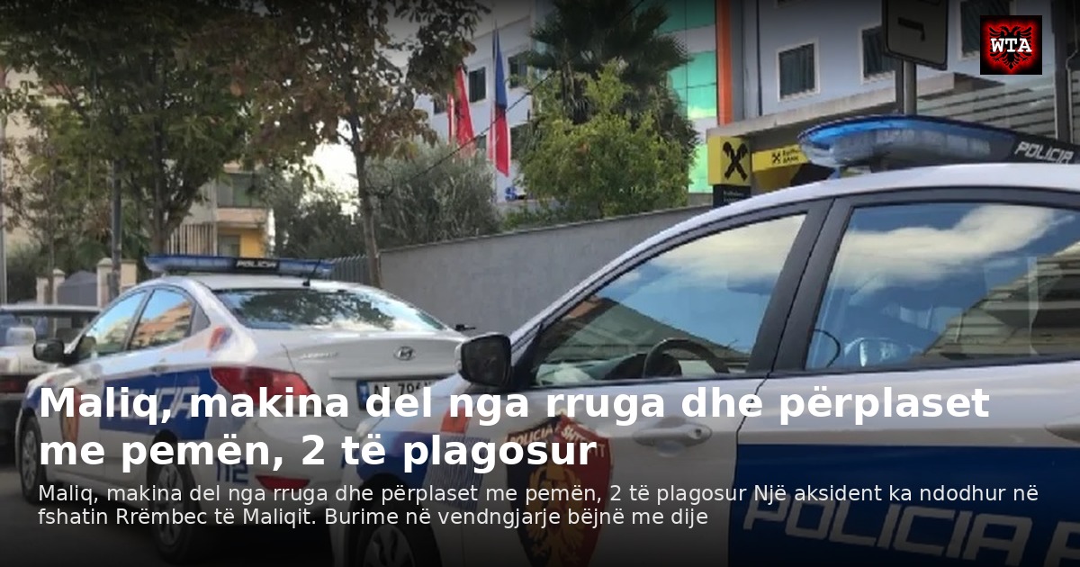 Maliq, makina del nga rruga dhe përplaset me pemën, 2 të plagosur