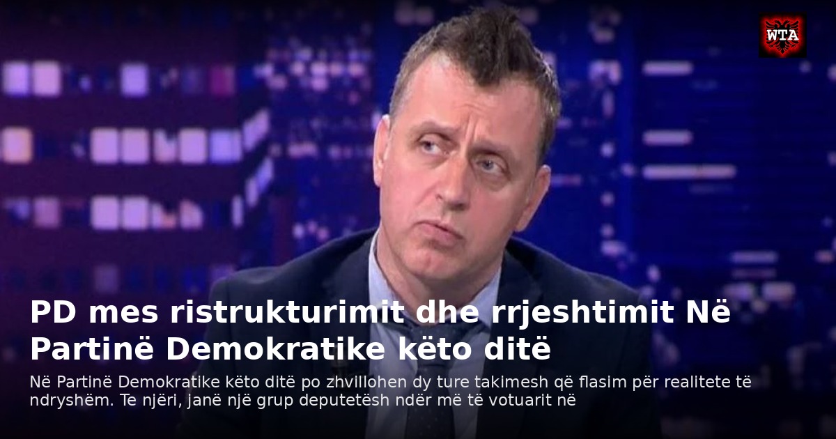 PD mes ristrukturimit dhe rrjeshtimit Në Partinë Demokratike këto ditë
