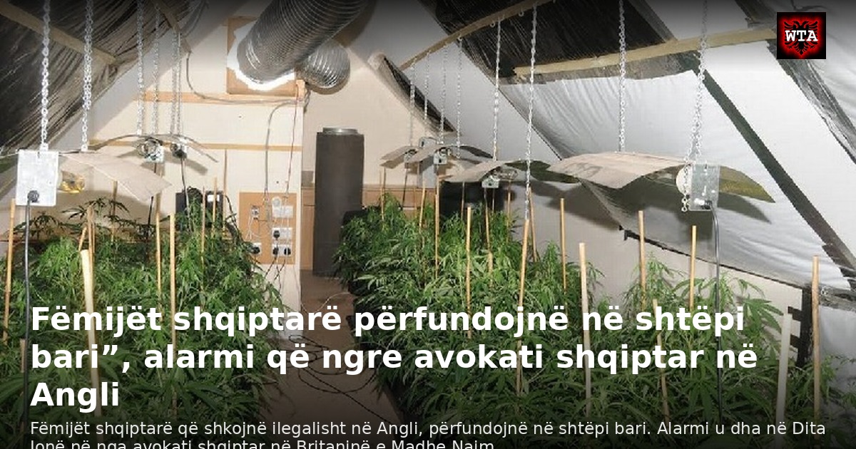 Fëmijët shqiptarë përfundojnë në shtëpi bari”, alarmi që ngre avokati shqiptar në Angli