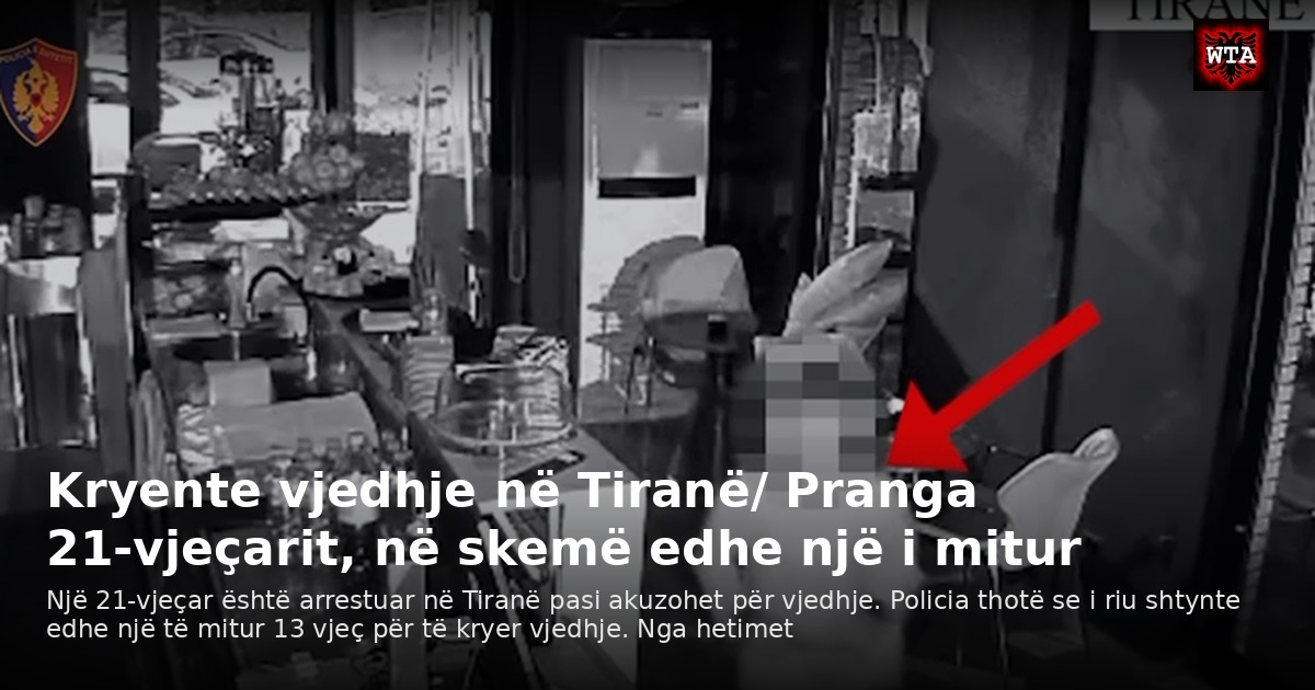 Kryente vjedhje në Tiranë/ Pranga 21-vjeçarit, në skemë edhe një i mitur
