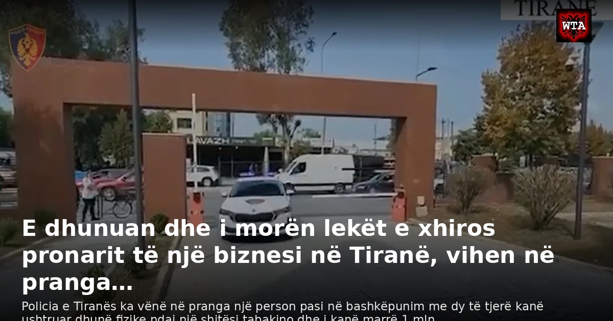 E dhunuan dhe i morën lekët e xhiros pronarit të një biznesi në Tiranë, vihen në pranga…