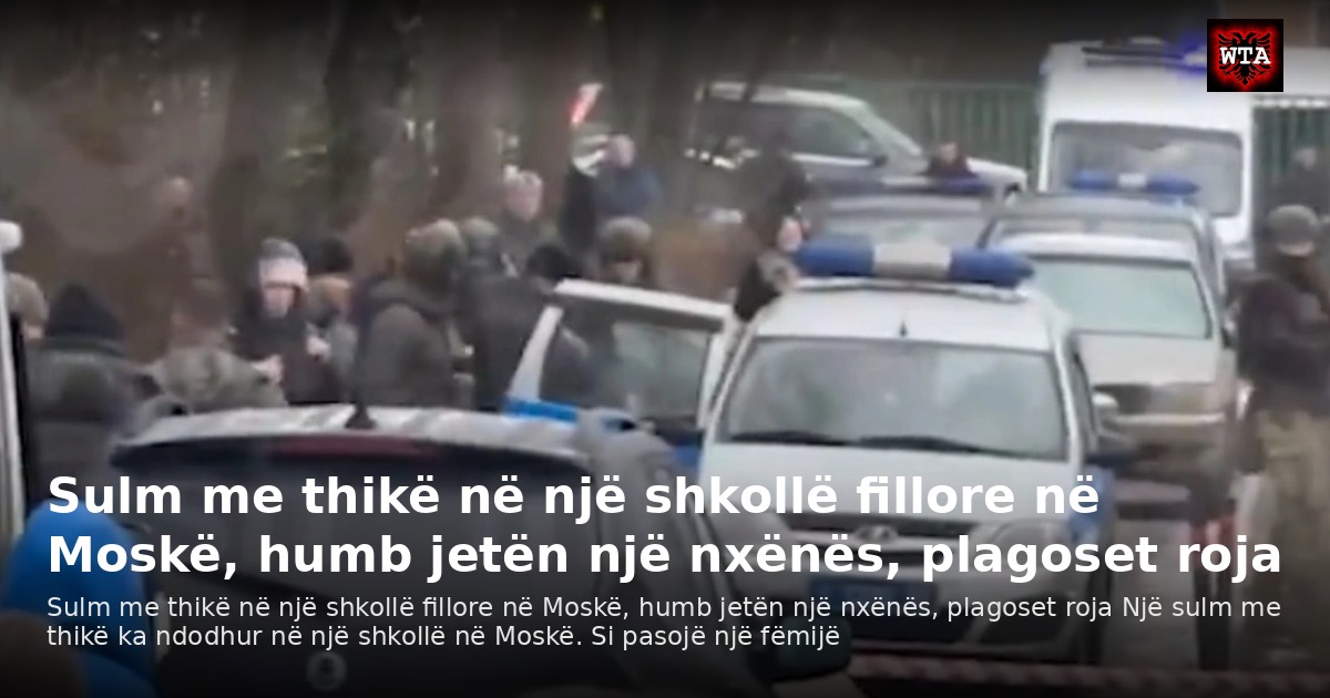 Sulm me thikë në një shkollë fillore në Moskë, humb jetën një nxënës, plagoset roja