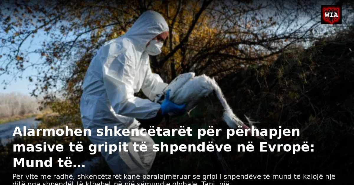 Alarmohen shkencëtarët për përhapjen masive të gripit të shpendëve në Evropë: Mund të…