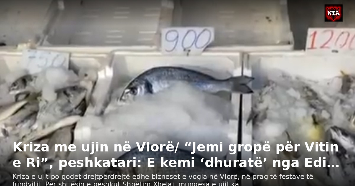 Kriza me ujin në Vlorë/ “Jemi gropë për Vitin e Ri”, peshkatari: E kemi ‘dhuratë’ nga Edi…