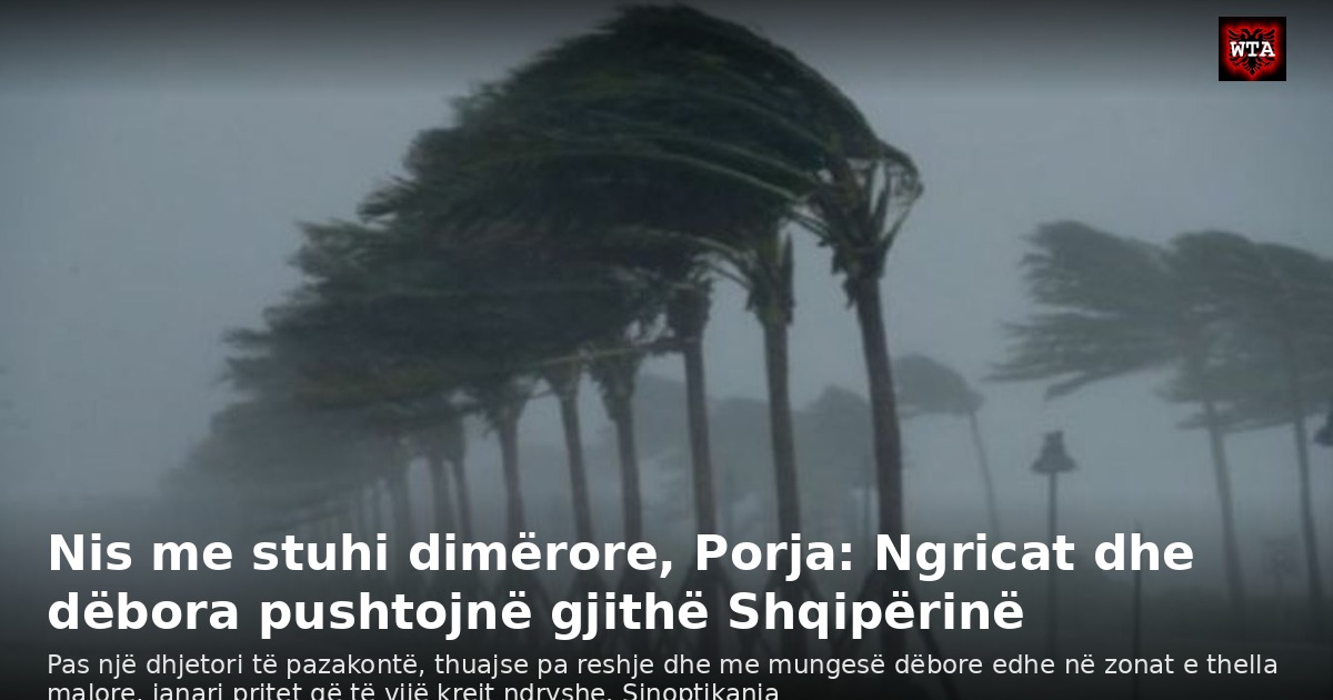Nis me stuhi dimërore, Porja: Ngricat dhe dëbora pushtojnë gjithë Shqipërinë