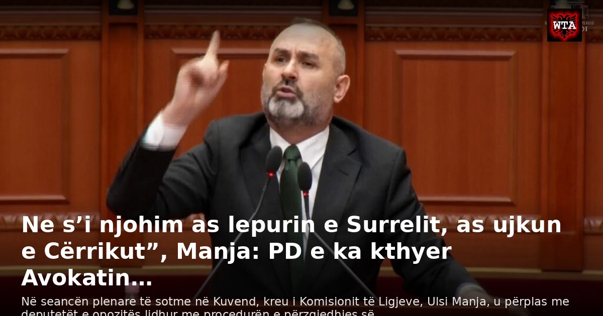 Ne s’i njohim as lepurin e Surrelit, as ujkun e Cërrikut”, Manja: PD e ka kthyer Avokatin…