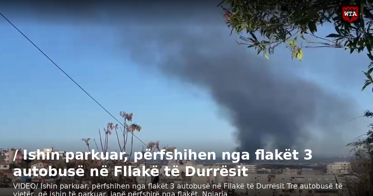 / Ishin parkuar, përfshihen nga flakët 3 autobusë në Fllakë të Durrësit