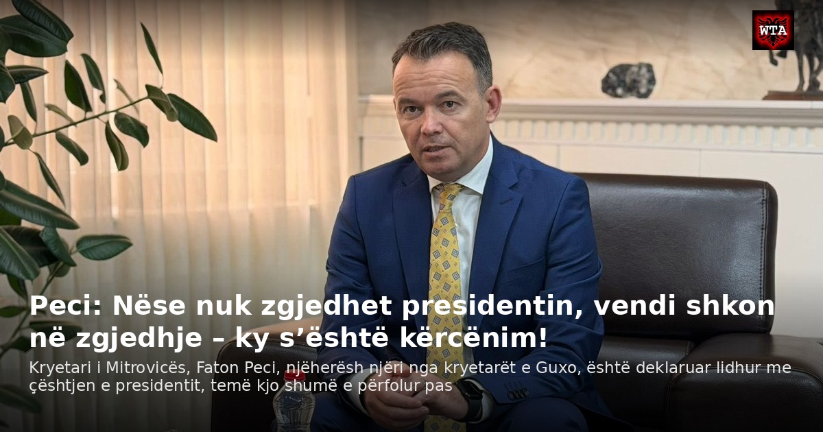 Peci: Nëse nuk zgjedhet presidentin, vendi shkon në zgjedhje – ky s’është kërcënim!