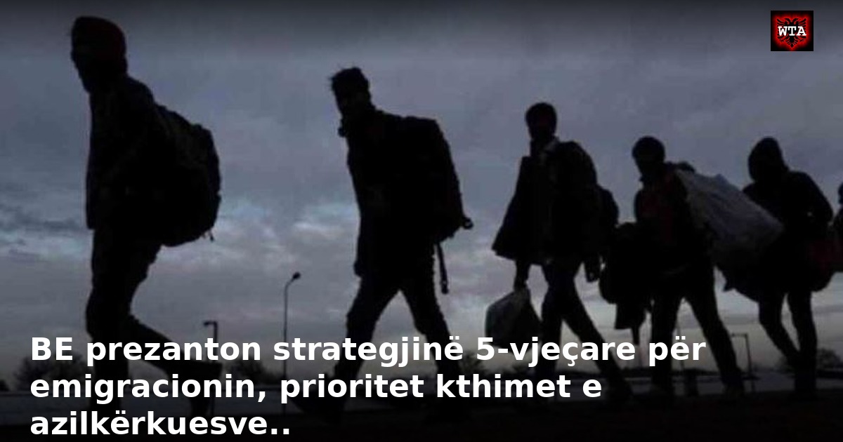 BE prezanton strategjinë 5-vjeçare për emigracionin, prioritet kthimet e azilkërkuesve..