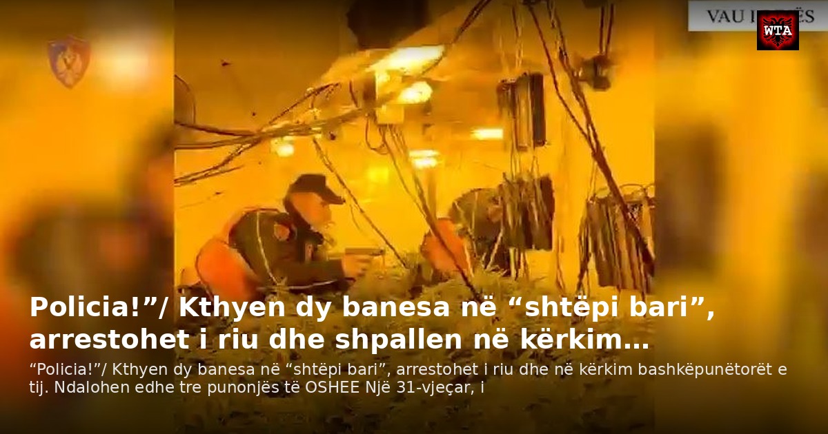 Policia!”/ Kthyen dy banesa në “shtëpi bari”, arrestohet i riu dhe shpallen në kërkim…