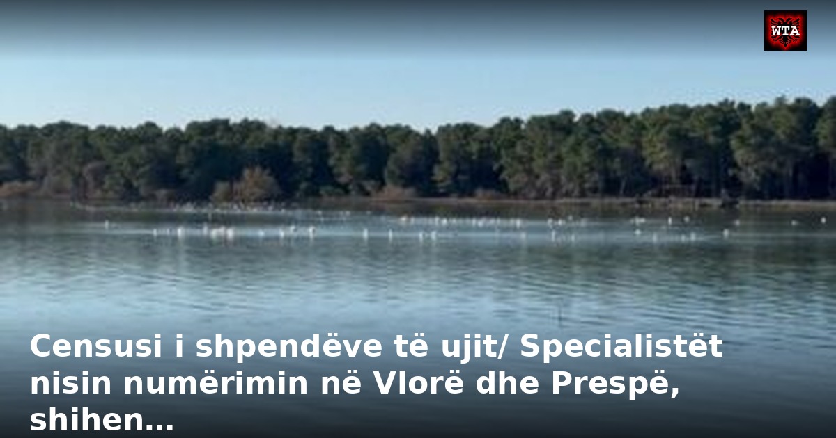 Censusi i shpendëve të ujit/ Specialistët nisin numërimin në Vlorë dhe Prespë, shihen…