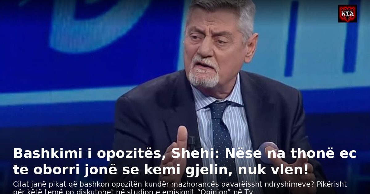 Bashkimi i opozitës, Shehi: Nëse na thonë ec te oborri jonë se kemi gjelin, nuk vlen!