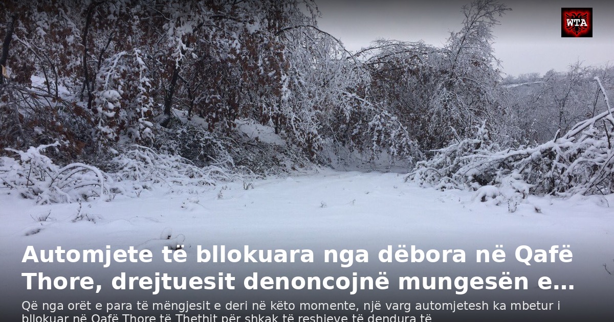 Automjete të bllokuara nga dëbora në Qafë Thore, drejtuesit denoncojnë mungesën e…