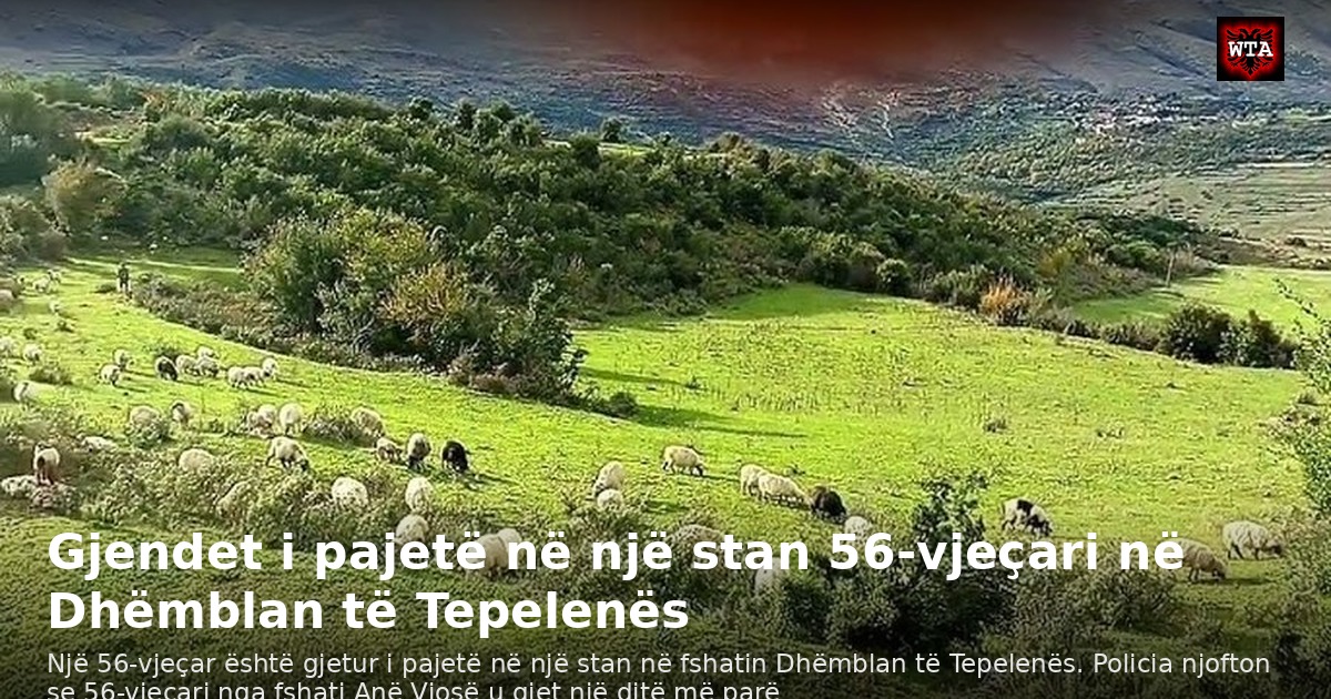 Gjendet i pajetë në një stan 56-vjeçari në Dhëmblan të Tepelenës