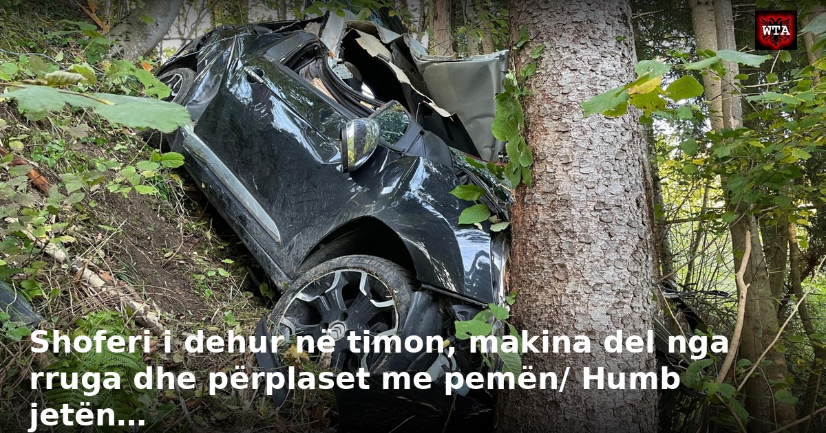 Shoferi i dehur në timon, makina del nga rruga dhe përplaset me pemën/ Humb jetën…