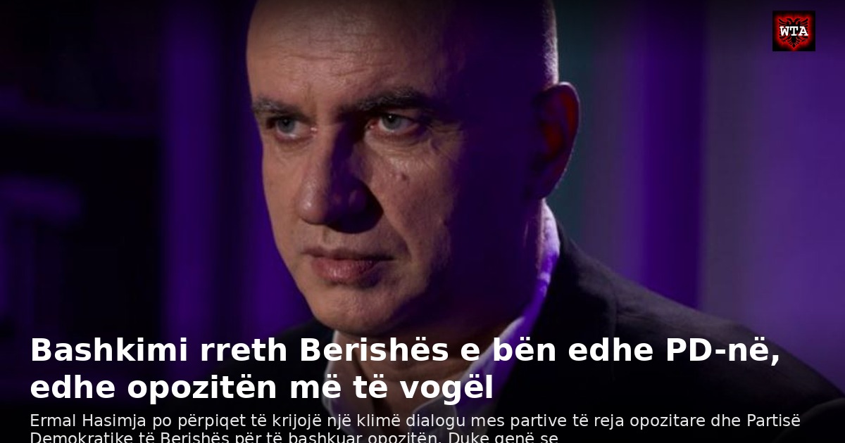 Bashkimi rreth Berishës e bën edhe PD-në, edhe opozitën më të vogël