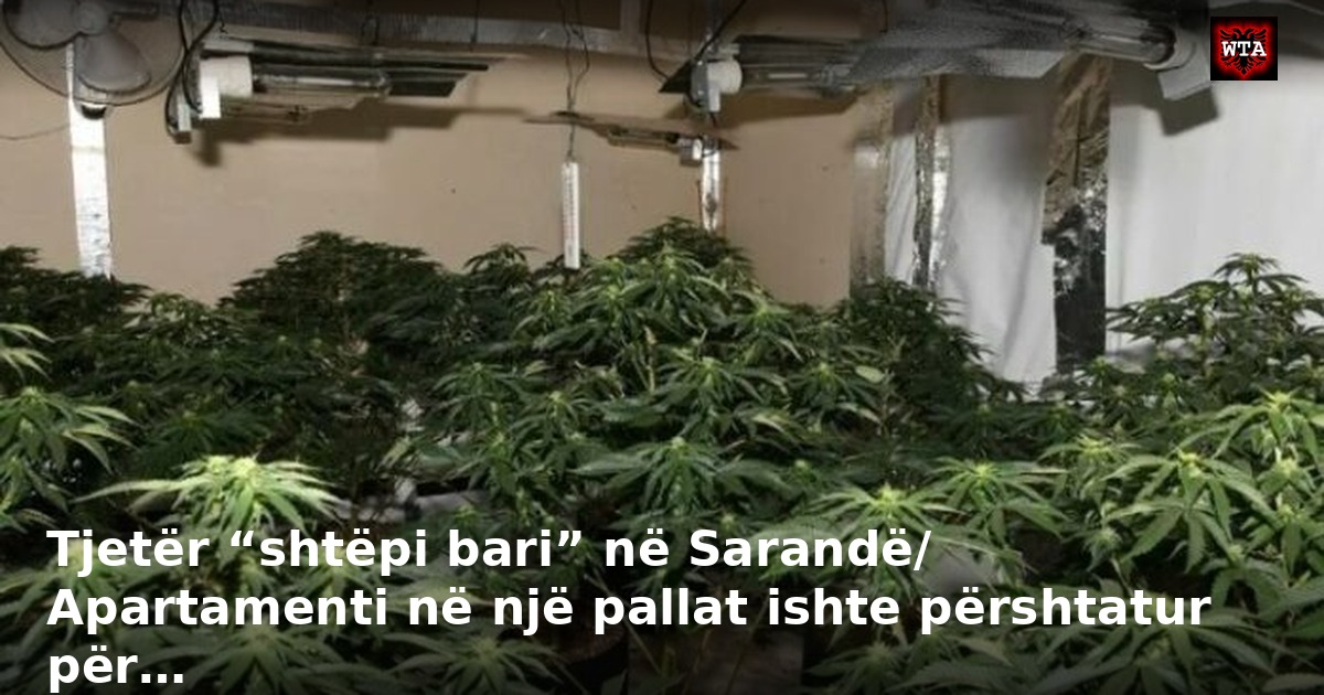 Tjetër “shtëpi bari” në Sarandë/ Apartamenti në një pallat ishte përshtatur për…