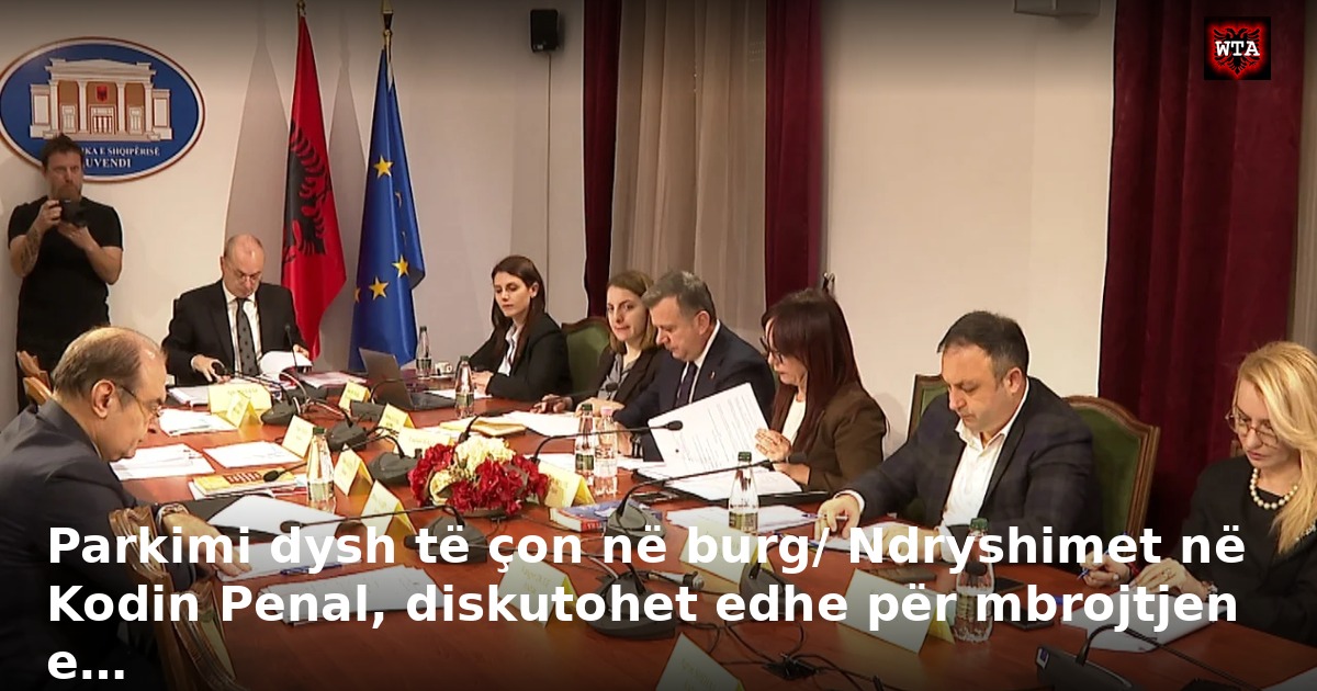 Parkimi dysh të çon në burg/ Ndryshimet në Kodin Penal, diskutohet edhe për mbrojtjen e…