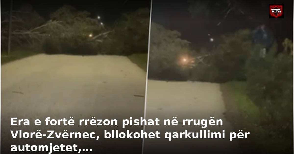 Era e fortë rrëzon pishat në rrugën Vlorë-Zvërnec, bllokohet qarkullimi për automjetet,…