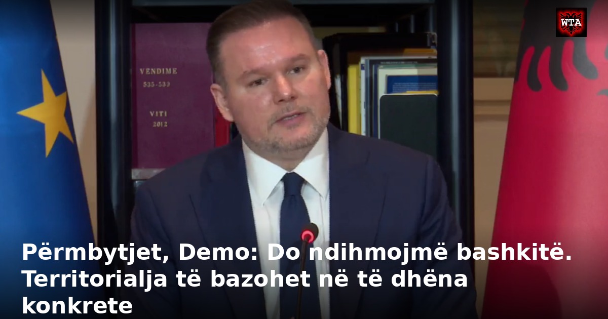 Përmbytjet, Demo: Do ndihmojmë bashkitë. Territorialja të bazohet në të dhëna konkrete