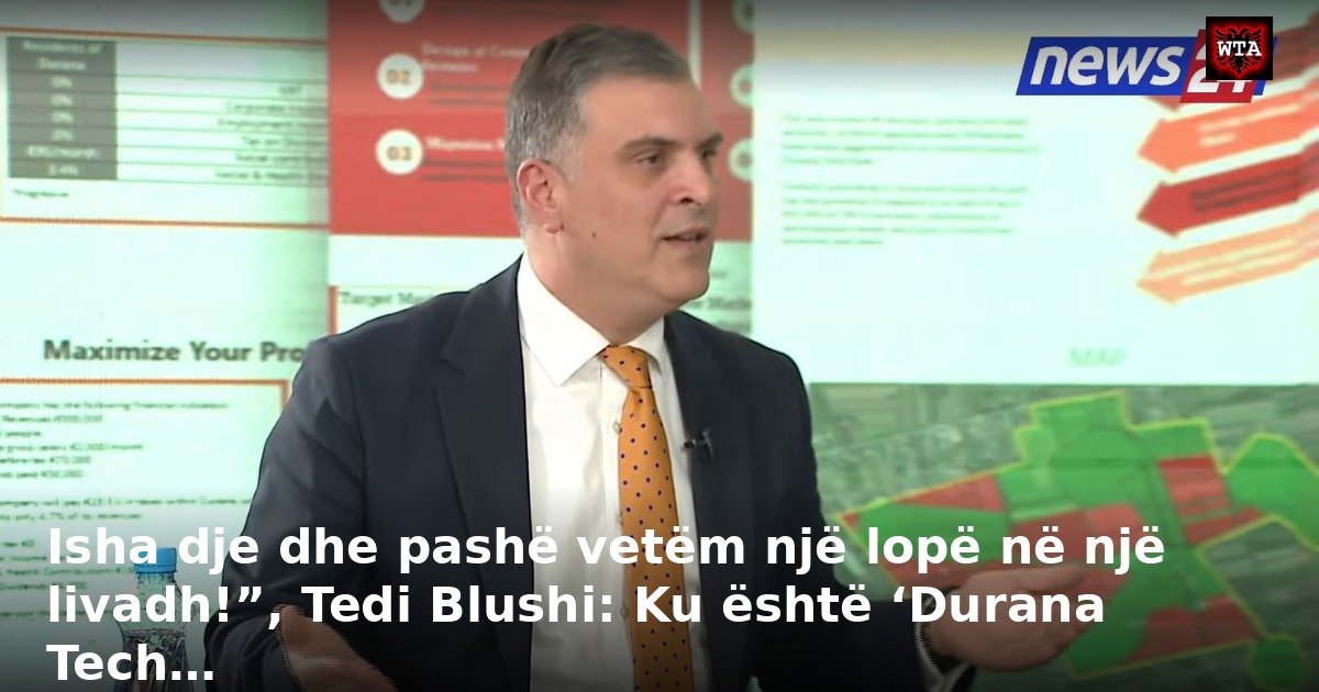 Isha dje dhe pashë vetëm një lopë në një livadh!”, Tedi Blushi: Ku është ‘Durana Tech…