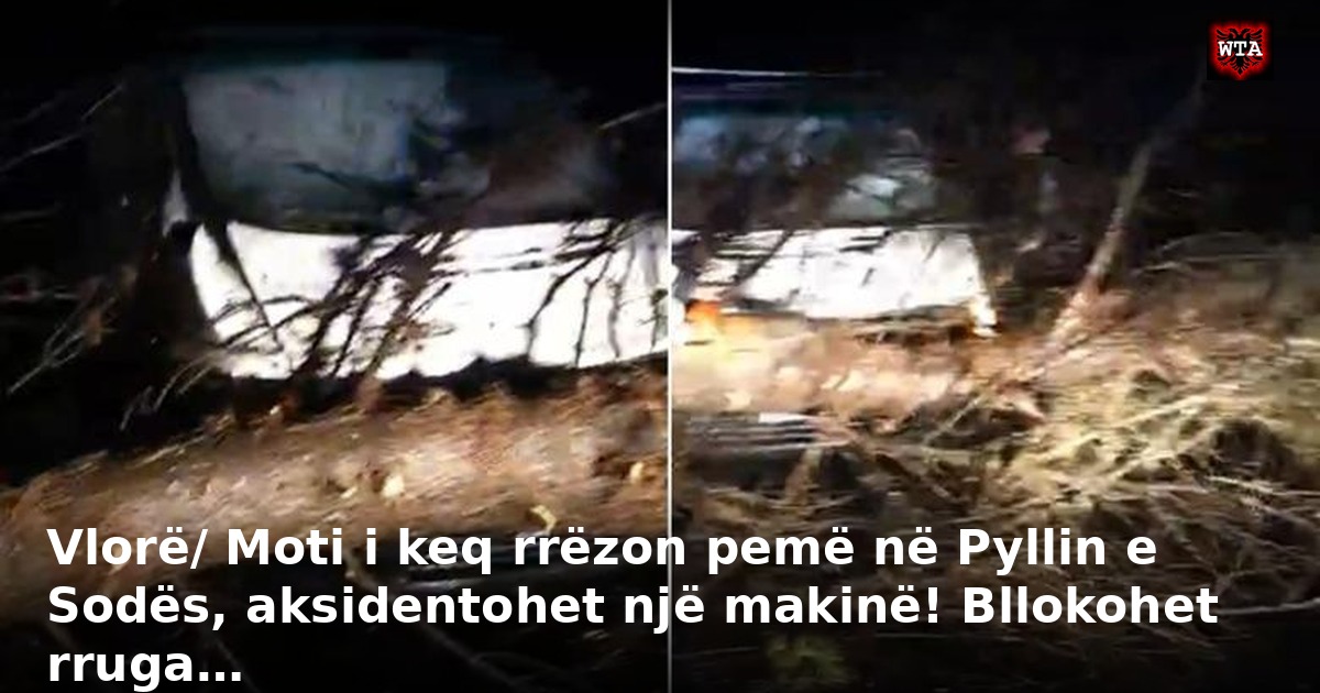 Vlorë/ Moti i keq rrëzon pemë në Pyllin e Sodës, aksidentohet një makinë! Bllokohet rruga…
