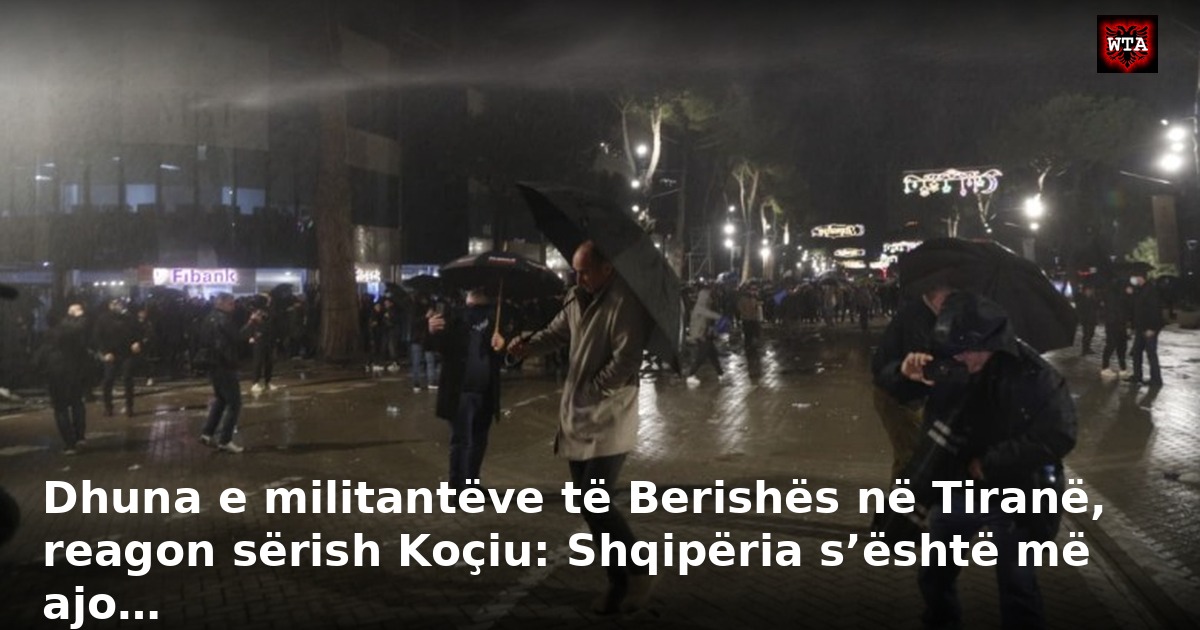 Dhuna e militantëve të Berishës në Tiranë, reagon sërish Koçiu: Shqipëria s’është më ajo…