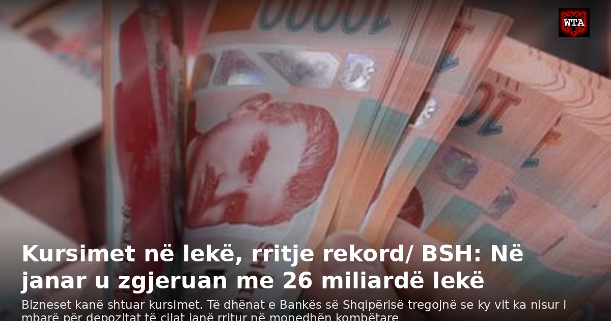 Kursimet në lekë, rritje rekord/ BSH: Në janar u zgjeruan me 26 miliardë lekë
