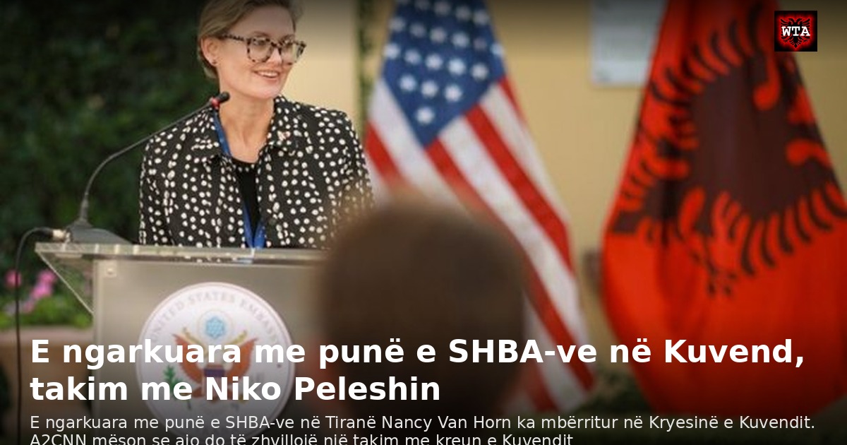 E ngarkuara me punë e SHBA-ve në Kuvend, takim me Niko Peleshin