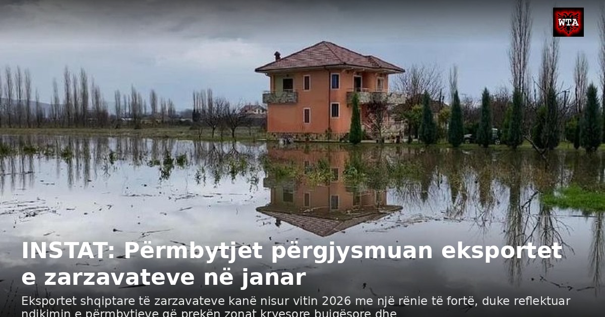 INSTAT: Përmbytjet përgjysmuan eksportet e zarzavateve në janar
