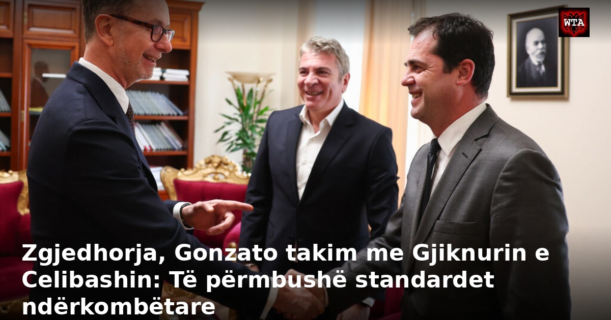 Zgjedhorja, Gonzato takim me Gjiknurin e Celibashin: Të përmbushë standardet ndërkombëtare