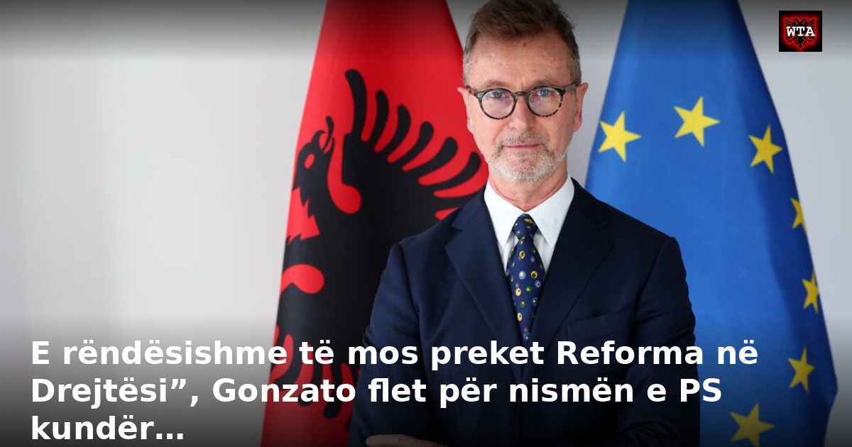 E rëndësishme të mos preket Reforma në Drejtësi”, Gonzato flet për nismën e PS kundër…