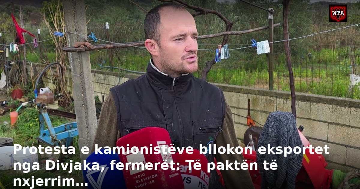 Protesta e kamionistëve bllokon eksportet nga Divjaka, fermerët: Të paktën të nxjerrim…