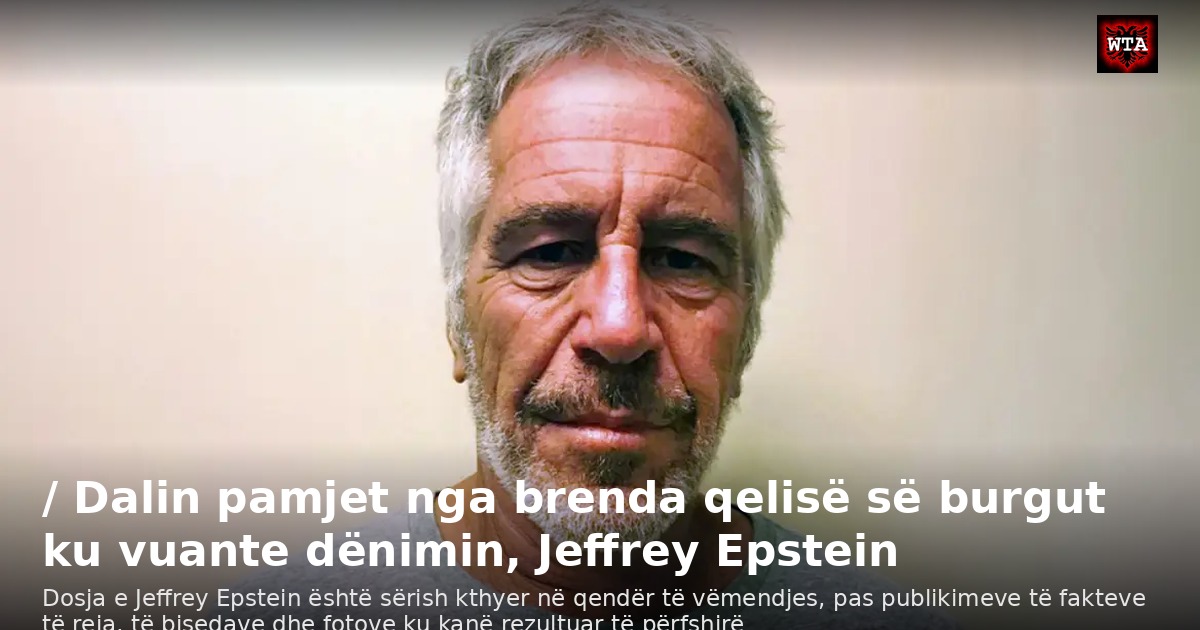 / Dalin pamjet nga brenda qelisë së burgut ku vuante dënimin, Jeffrey Epstein