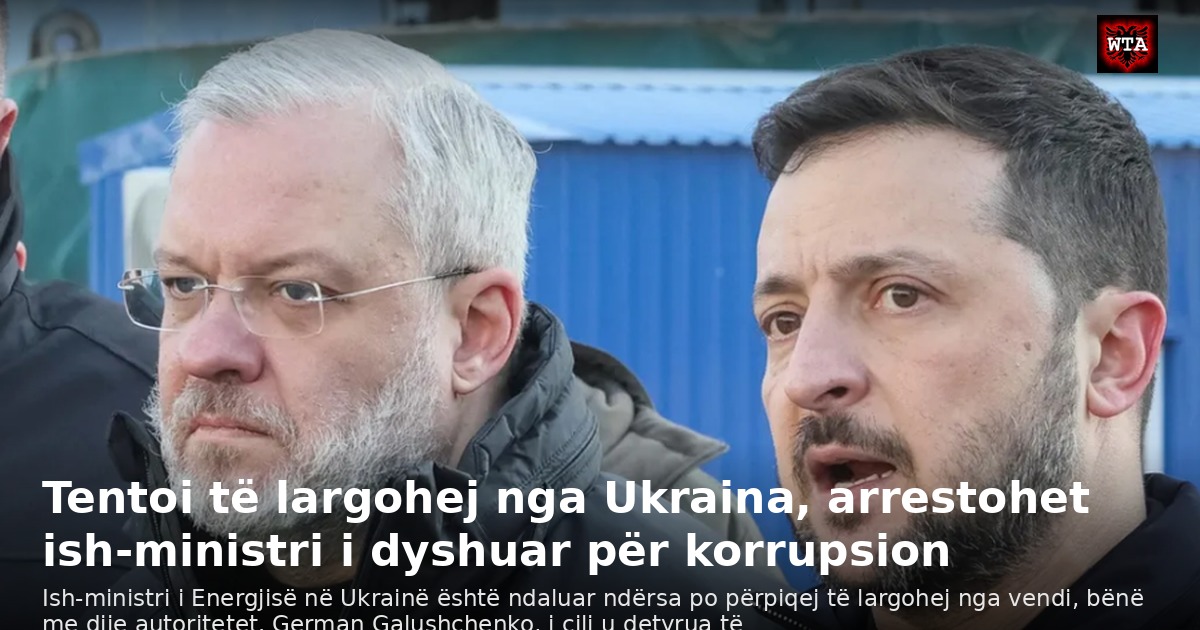 Tentoi të largohej nga Ukraina, arrestohet ish-ministri i dyshuar për korrupsion
