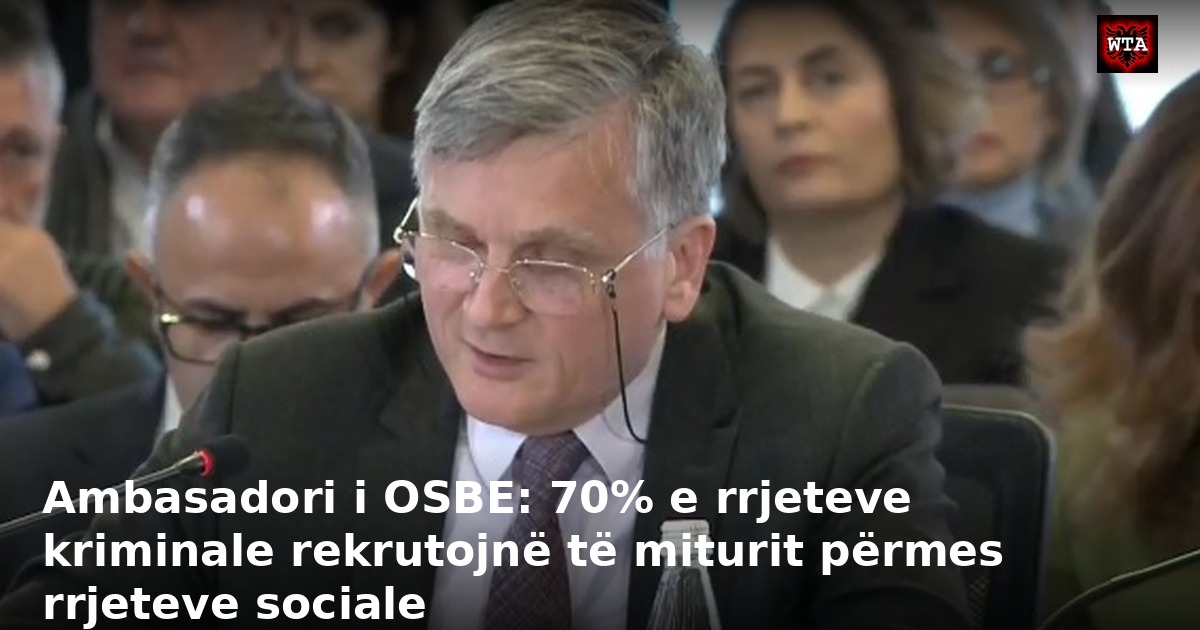 Ambasadori i OSBE: 70% e rrjeteve kriminale rekrutojnë të miturit përmes rrjeteve sociale