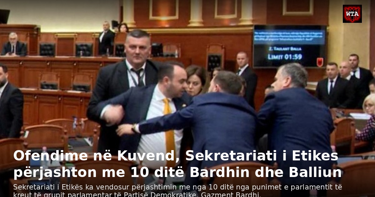 Ofendime në Kuvend, Sekretariati i Etikes përjashton me 10 ditë Bardhin dhe Balliun