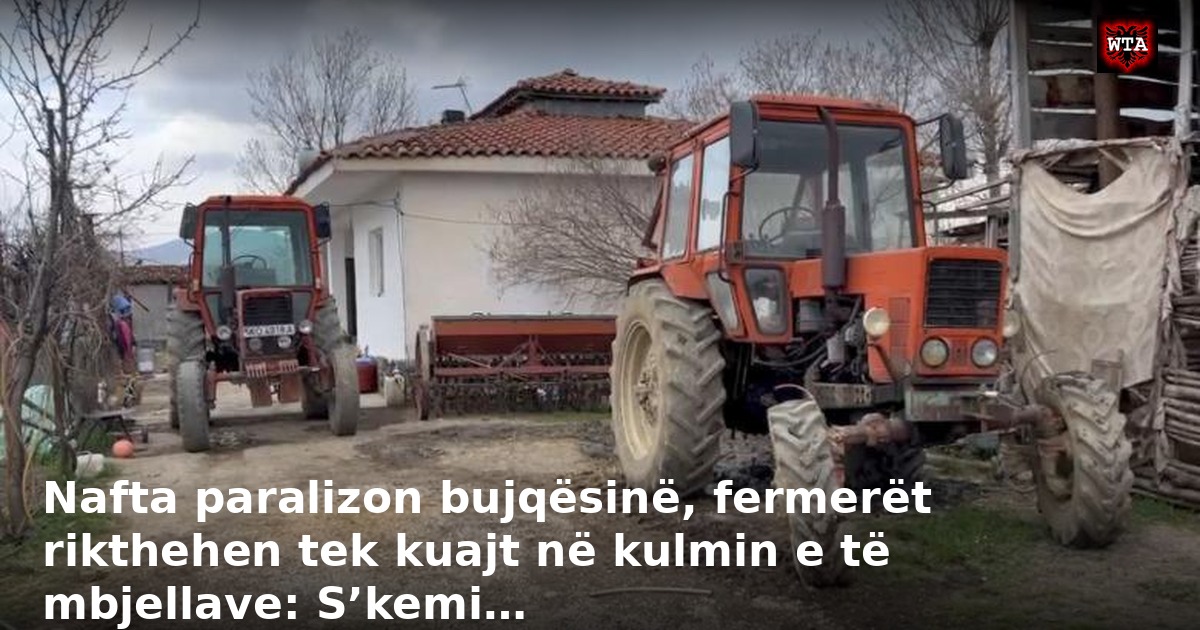 Nafta paralizon bujqësinë, fermerët rikthehen tek kuajt në kulmin e të mbjellave: S’kemi…