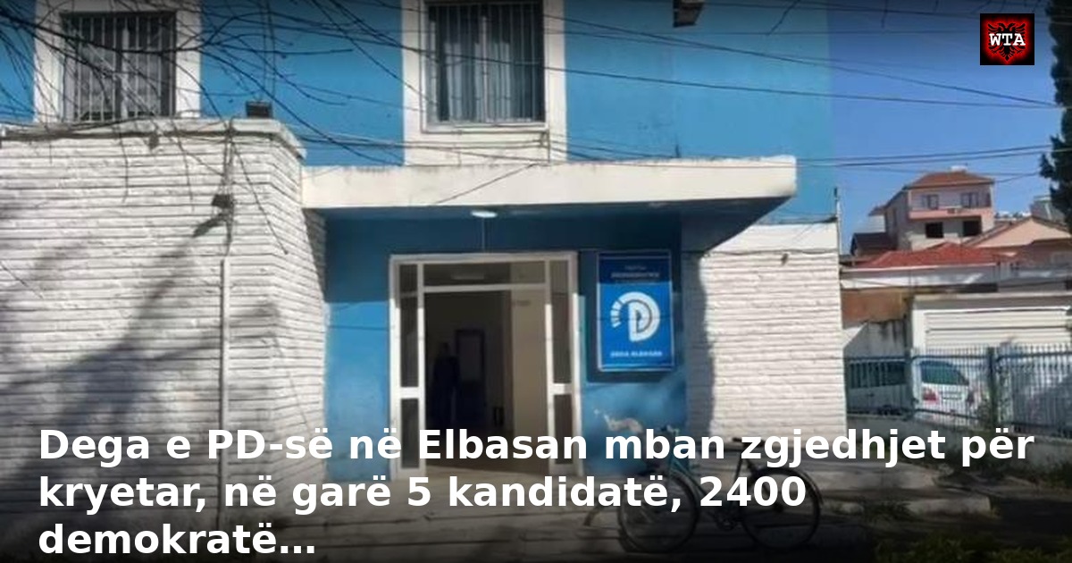 Dega e PD-së në Elbasan mban zgjedhjet për kryetar, në garë 5 kandidatë, 2400 demokratë…